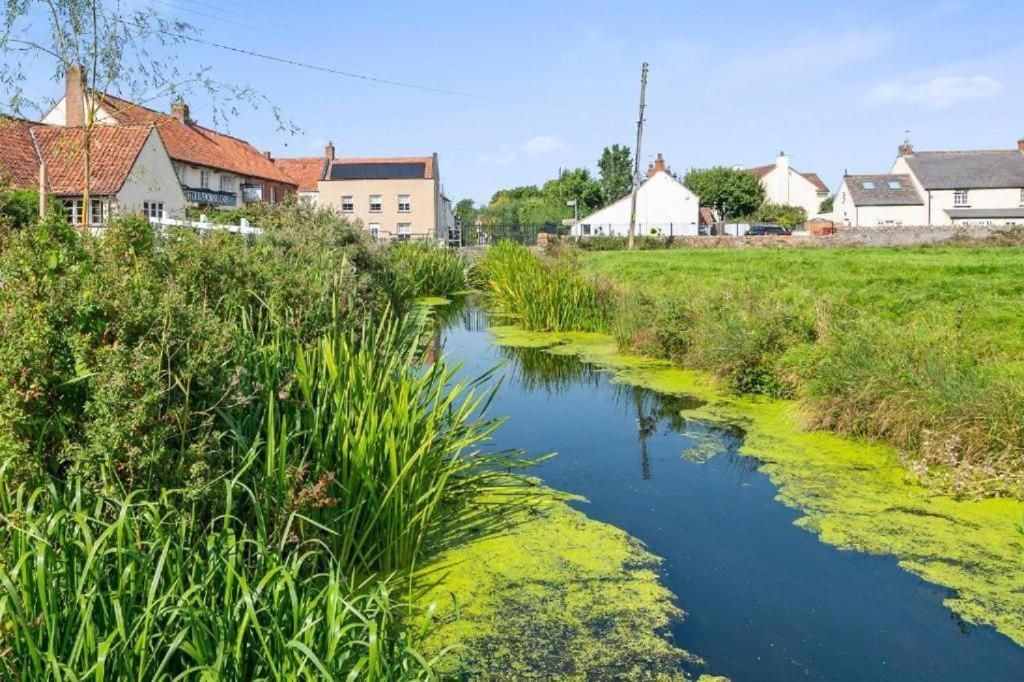 Tranquil Retreat In Heart Of Somerset Countryside Lejlighed Highbridge Eksteriør billede